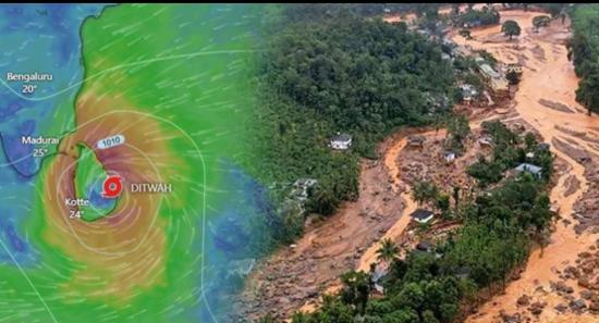 කඳුකර වනාන්තරවලින් 34% කට හානි.....